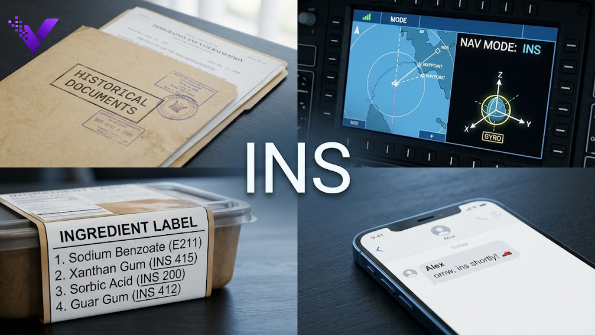 INS Meaning